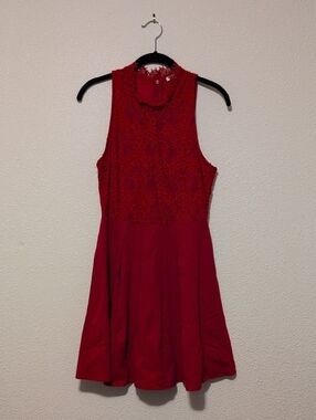 Francesca's Collections Red Lace Fit & Flare Mini Dress